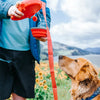 Correa Para Perro Con Cuenco De Agua