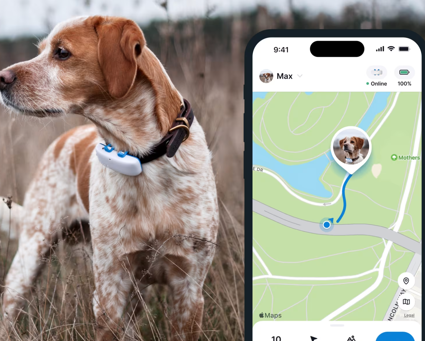 Rastreador GPS para perros