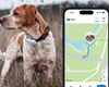 Rastreador GPS para perros